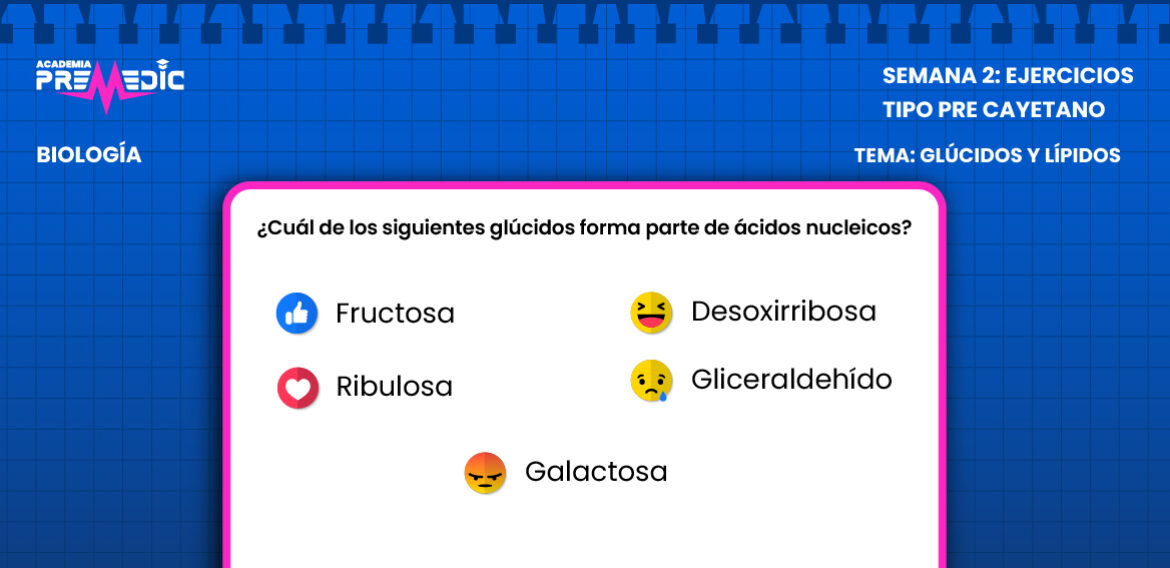 SEMANA 2 DE NIVELACIÓN PRECAYETANO